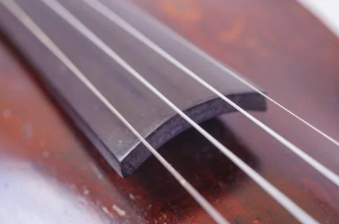 A violin image on the white background close up Stock Photos