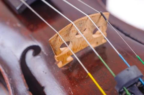 A violin image on the white background close up Stock Photos
