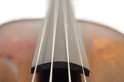 A violin image on the white background close up Stock Photos