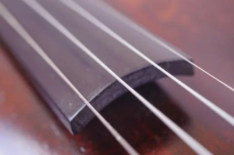 A violin image on the white background close up Stock Photos