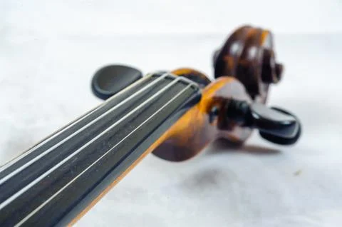 A violin image on the white background close up Stock Photos