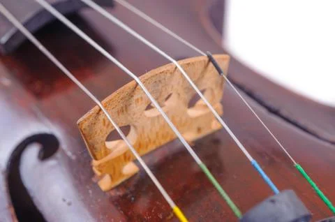 A violin image on the white background close up Stock Photos