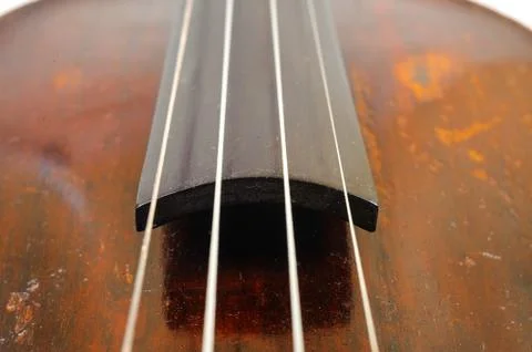 A violin image on the white background close up Stock Photos