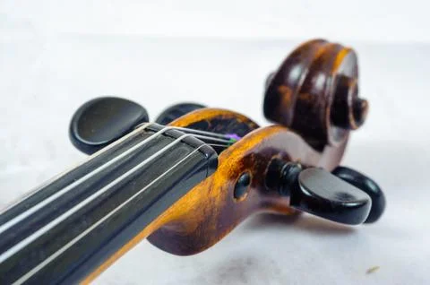 A violin image on the white background close up Stock Photos