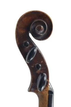 A violin image on the white background Stock Photos
