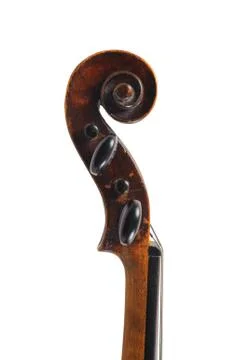 A violin image on the white background Stock Photos