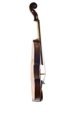 A violin image on the white background Foto stock