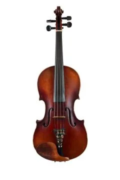 A violin image on the white background Stock Photos