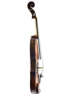 A violin image on the white background Stock Photos