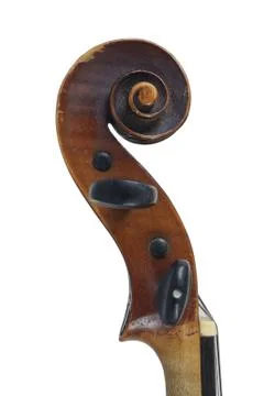 A violin image on the white background Stock Photos