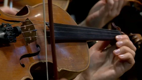 Violin instruments during rehearsal symphony orchestra Stock Footage 73586948