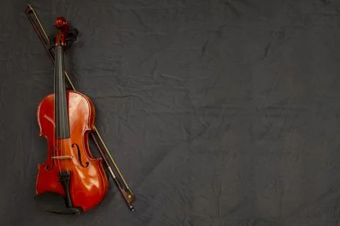Violin isolated on white background. Texture background violin. Playing violin. Stock Photos