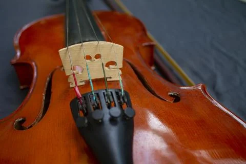 Violin isolated on white background. Texture background violin. Playing violin. Stock Photos