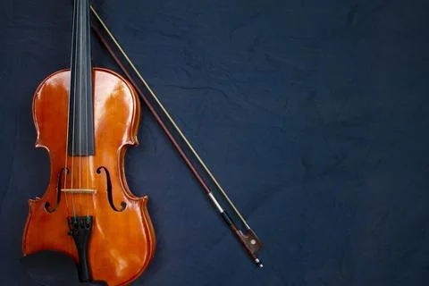 Violin isolated on white background. Texture background violin. Playing violin. Stock Photos