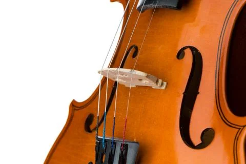 Violin isolated on white Stock Photos