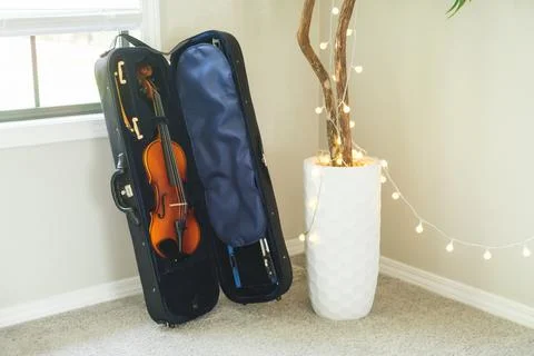 A violin in its case stands next to a flower. Stock Photos
