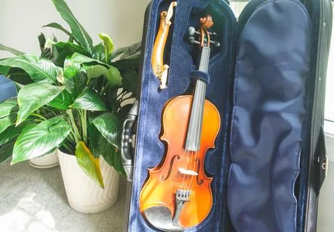 A violin in its case stands next to a flower. Stock Photos