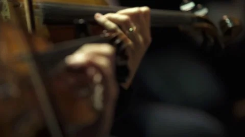 Violin musicians rack focus Stock Footage 71382038
