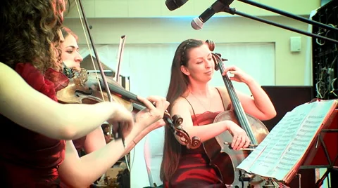 Violin orchestra Stock Footage 3411303