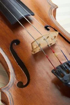 Violin Stock Photos
