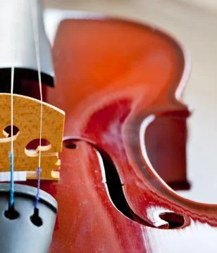 Violin Stock Photos