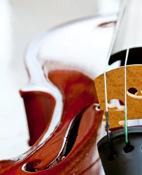 Violin Stock Photos