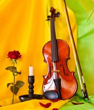 Violin Stock Photos
