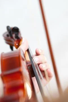 Violin Stock Photos