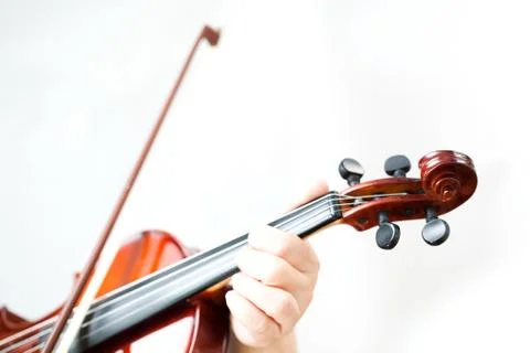 Violin Stock Photos