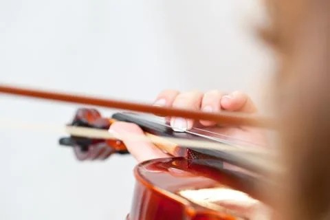 Violin Stock Photos