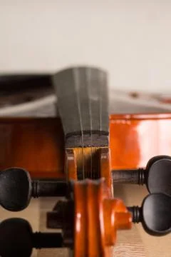Violin Stock Photos