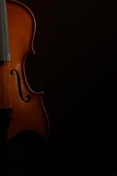 Violin Stock Photos