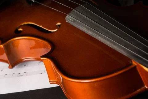 Violin Stock Photos