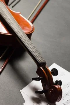 Violin Stock Photos