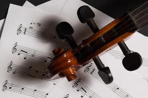 Violin Stock Photos