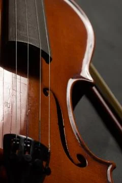 Violin Stock Photos