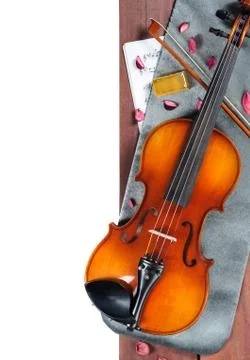 Violin Stock Photos