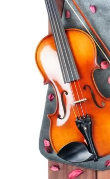 Violin Stock Photos