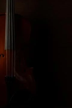 Violin Foto stock