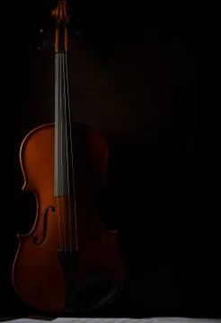 Violin Stock Photos
