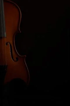 Violin Stock Photos
