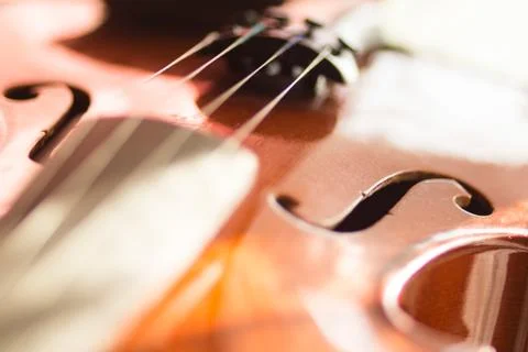 Violin Foto stock
