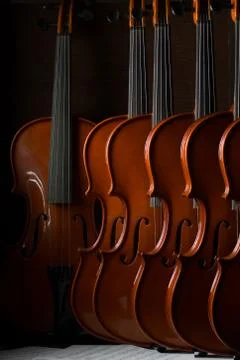 Violin Stock Photos