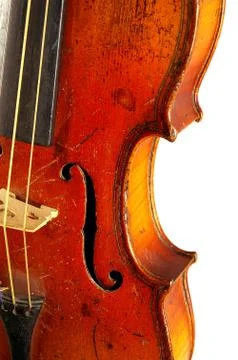 The violin Foto stock