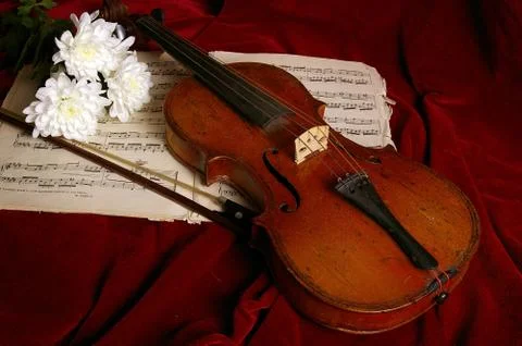The violin Stock Photos