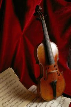 The violin Stock Photos
