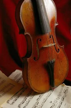 The violin Stock Photos