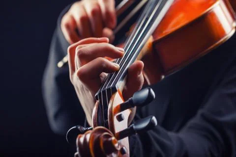 Violin Stock Photos