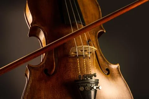 Violin 스톡 사진