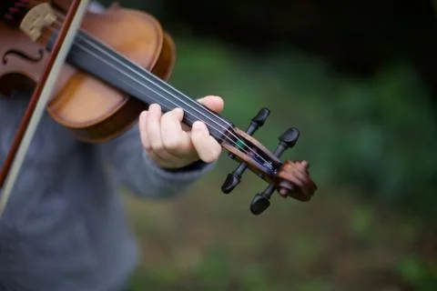 Violin Free Stock Photos